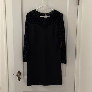 Pink Clove black bodycon dress